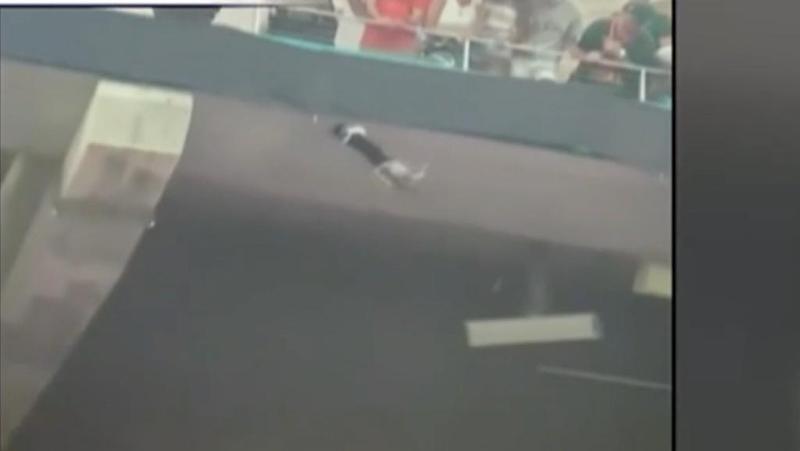 Gato colgando de una lona