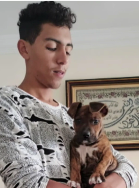 Captura de pantalla (88)