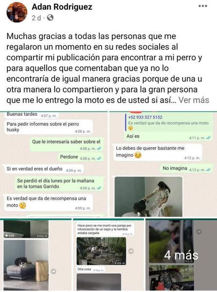 captura-perro-encontrado-por-moto