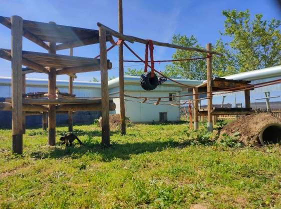 UNA DE LAS INSTALACIONES PARA CAPUCHINOS DE RAINFER_ FOTO CREDIT: RAINFER