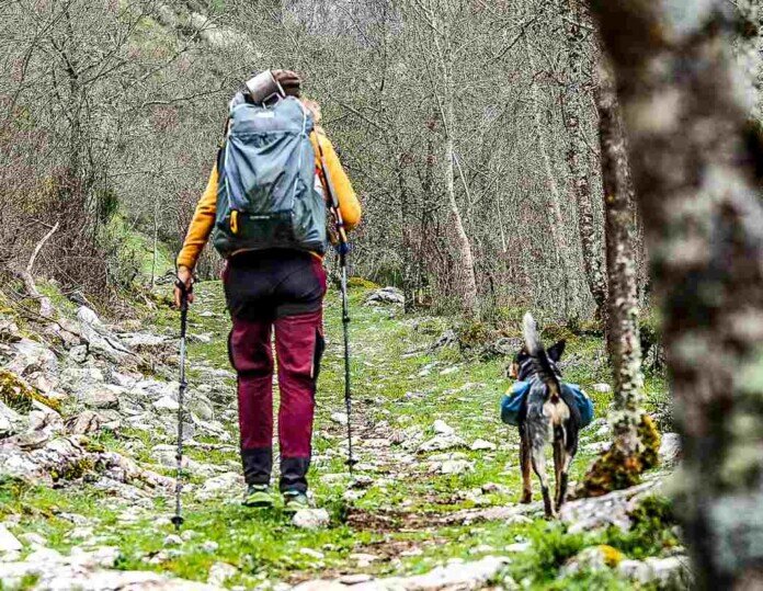Heike y Butch de ruta por el bosque